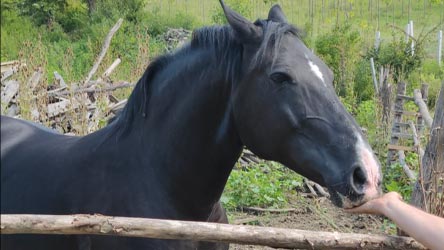 Hrani se i hrani druge...