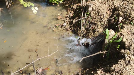 Čuje se žubor potoka Stjepkovice