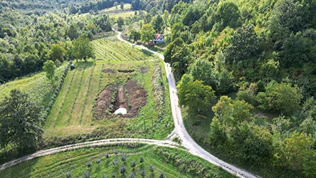 Okružene vijekovnim šumama